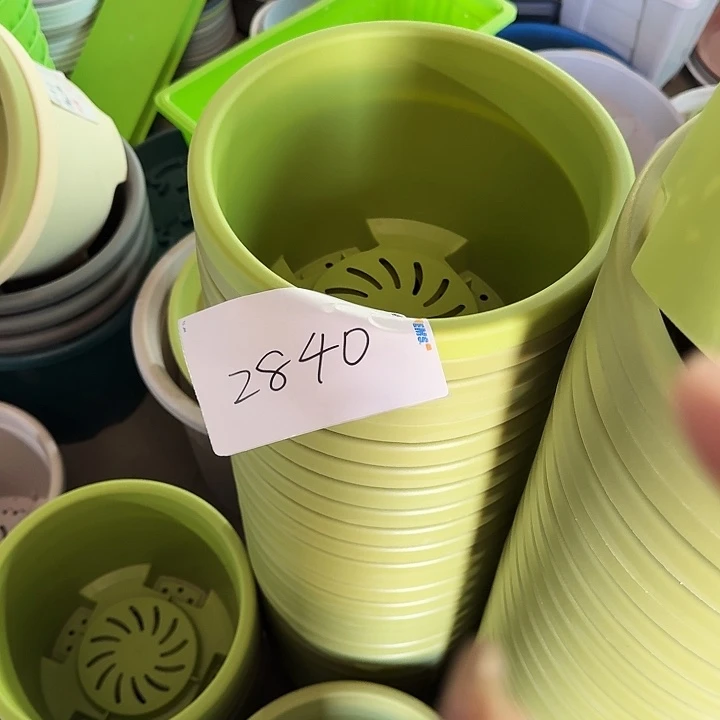 编号2840瑕疵的球3号果绿无托10个