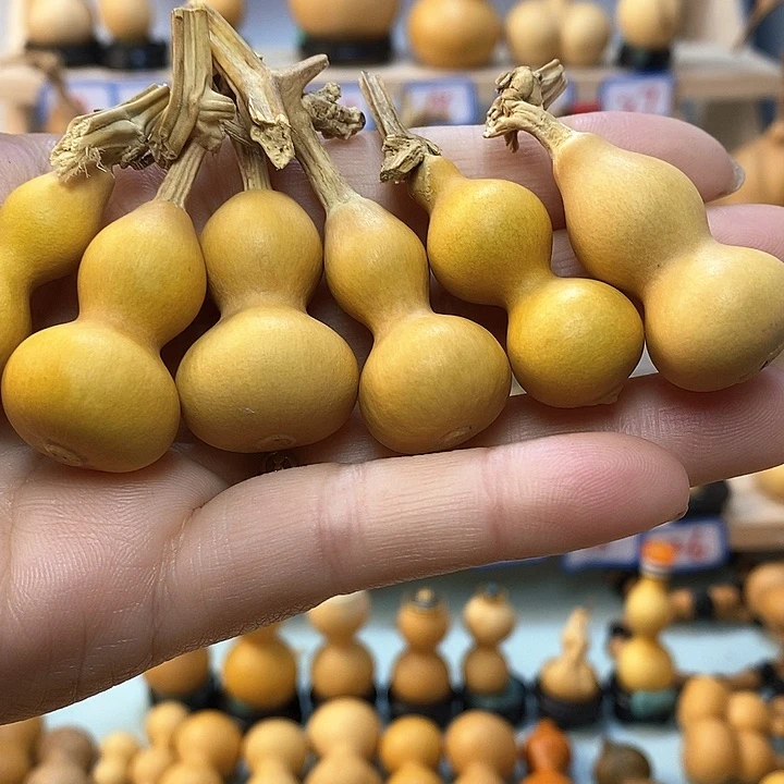 小*狗直播间手把小葫芦