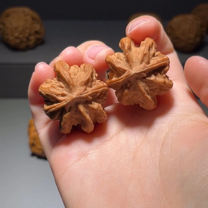 把件文玩核桃龙骨565