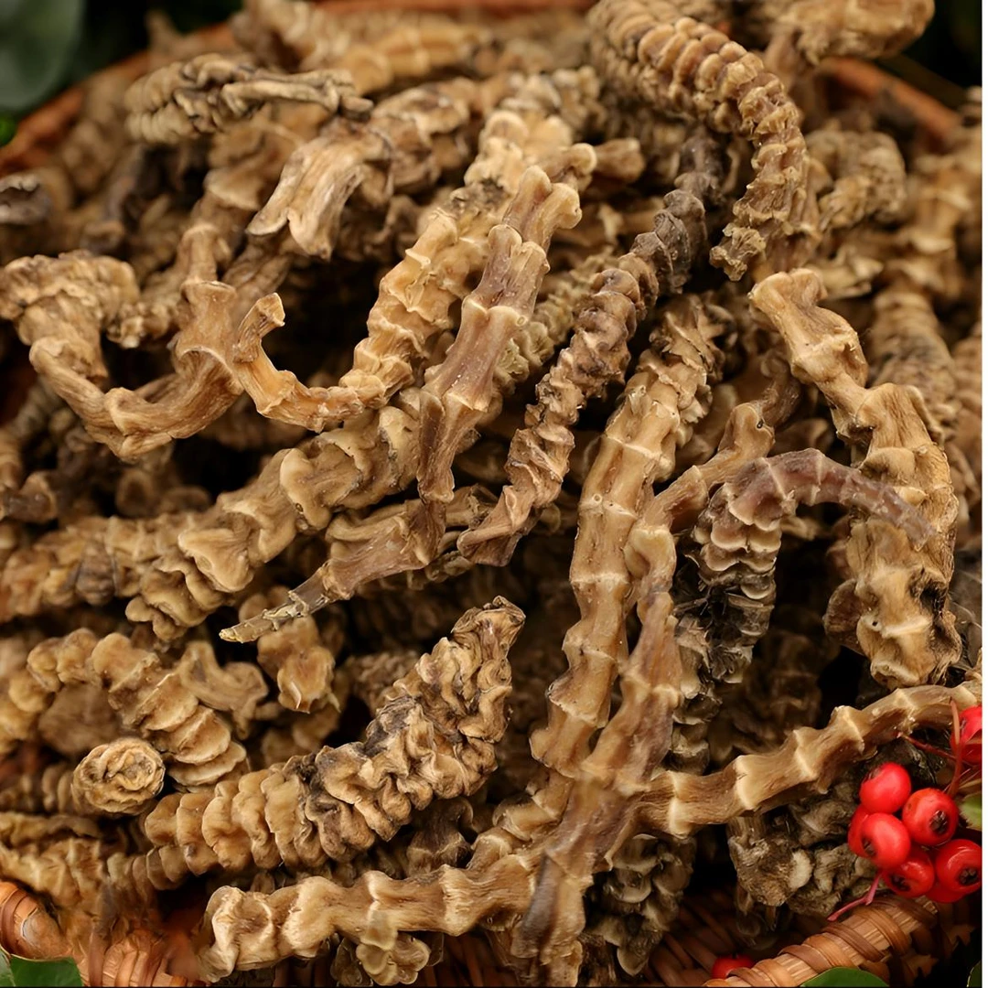 精选特产虫草参 500克 帅虎专属 非桃胶