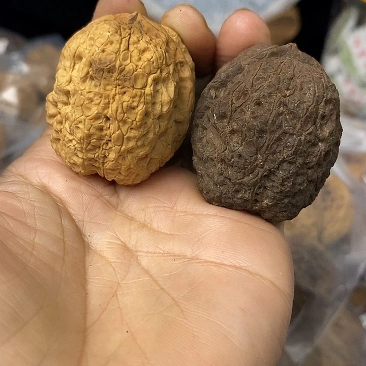 核桃云南铁核桃基地63