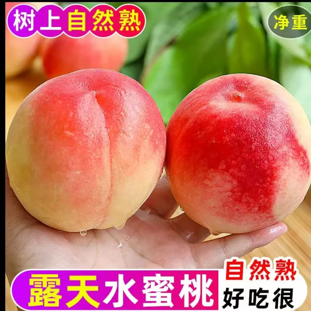 rx山西红不软水蜜桃新鲜现摘脆甜多汁当季应季水果软脆两吃孕妇