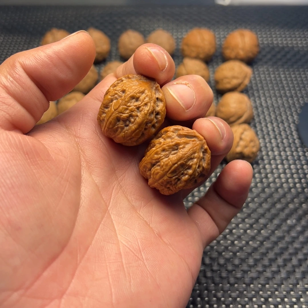 把件文玩核桃龙骨一道筋