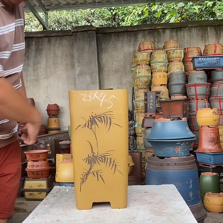 紫砂花盆盆栽花卉种植