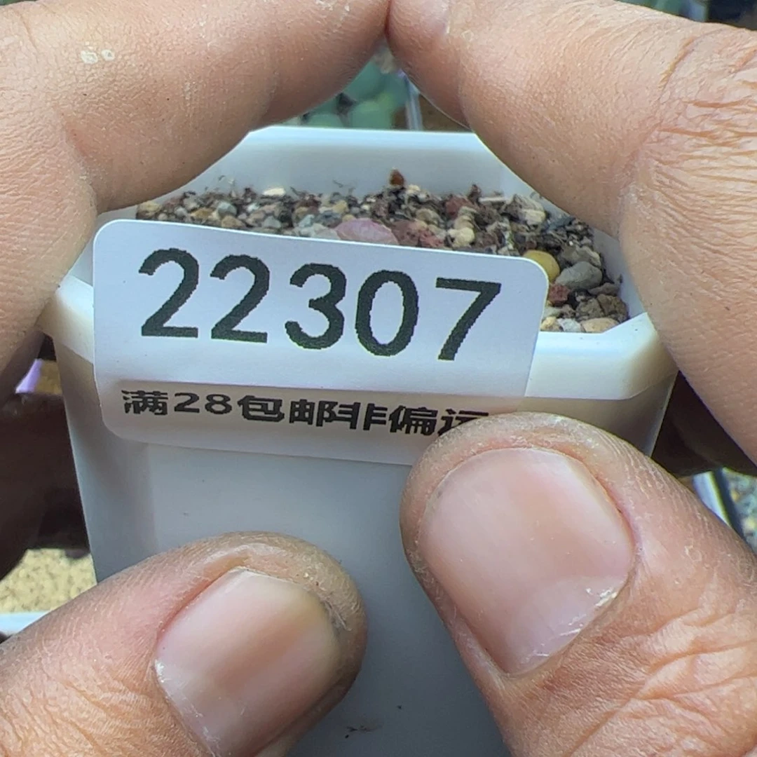 ?*?大家过年好222307