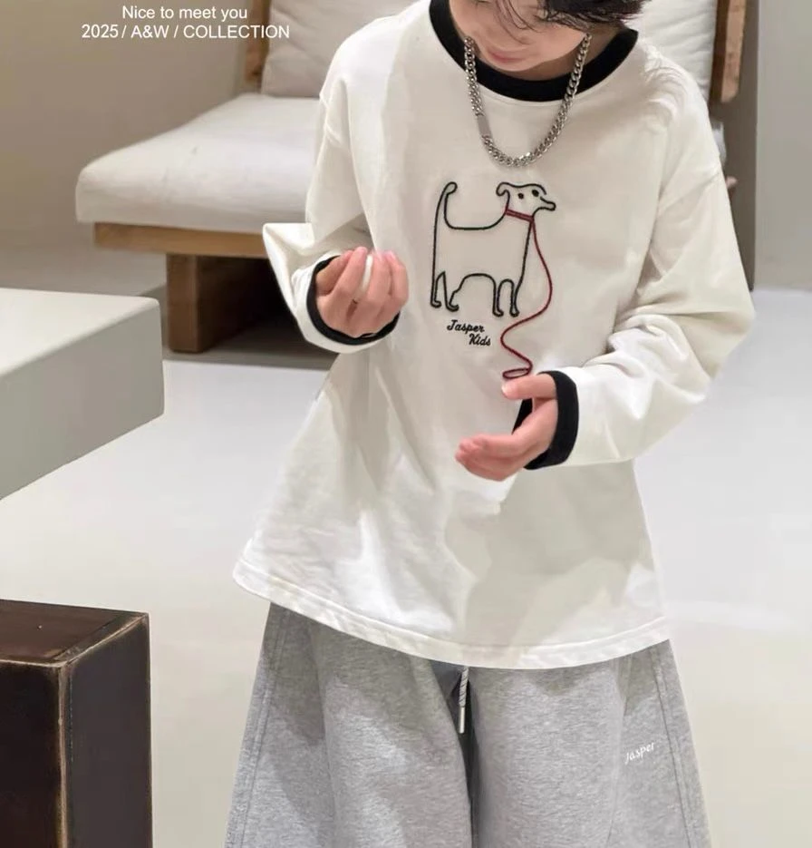 儿童2025秋装圆领撞色T恤痞帅个性潮牌男童装中大童打底衫 25463