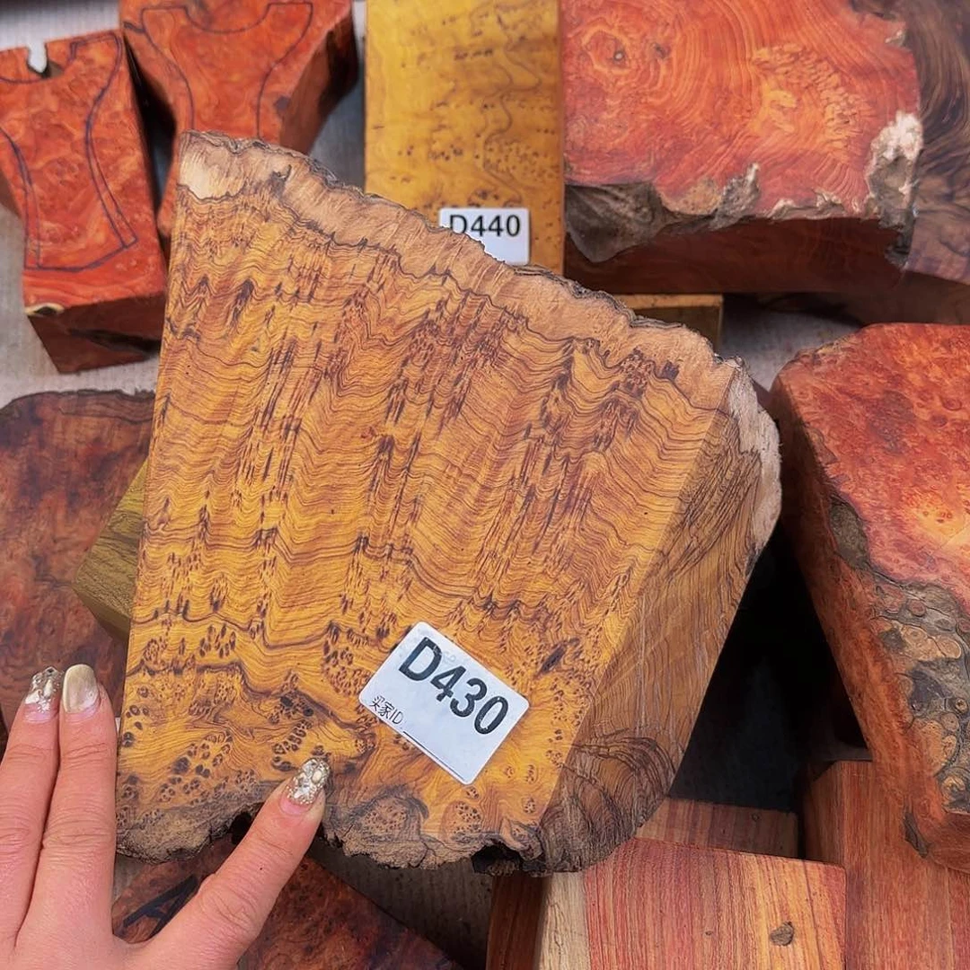 木林*七鬼柳尖叶木栖榄留疤