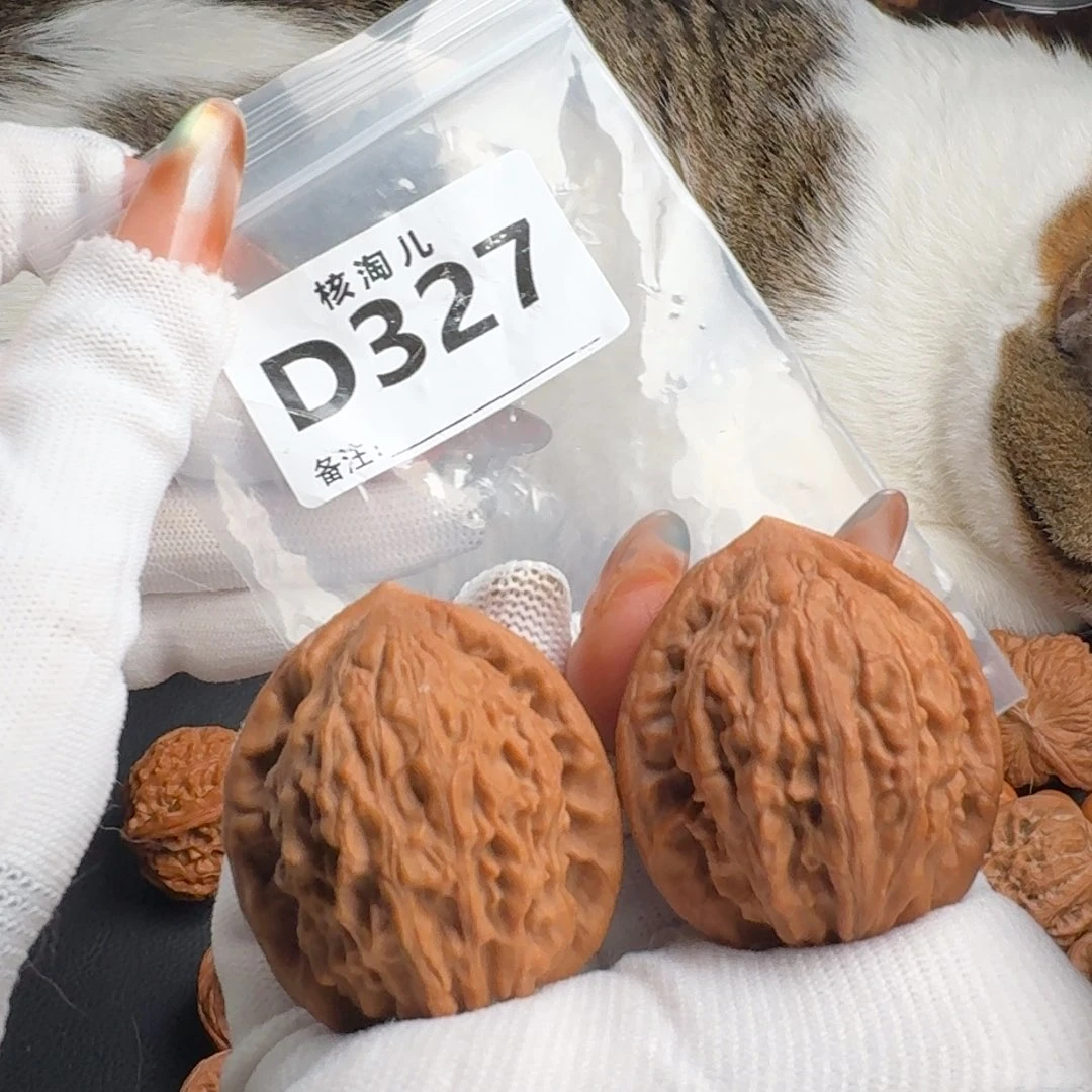 木质类39大红袍D327