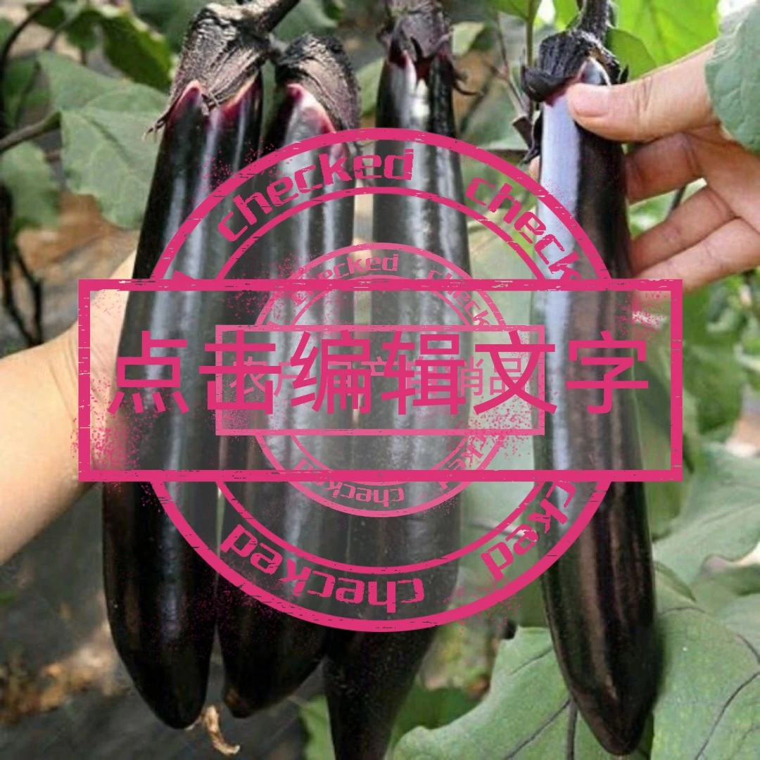 生鲜链接，农户自产自销品