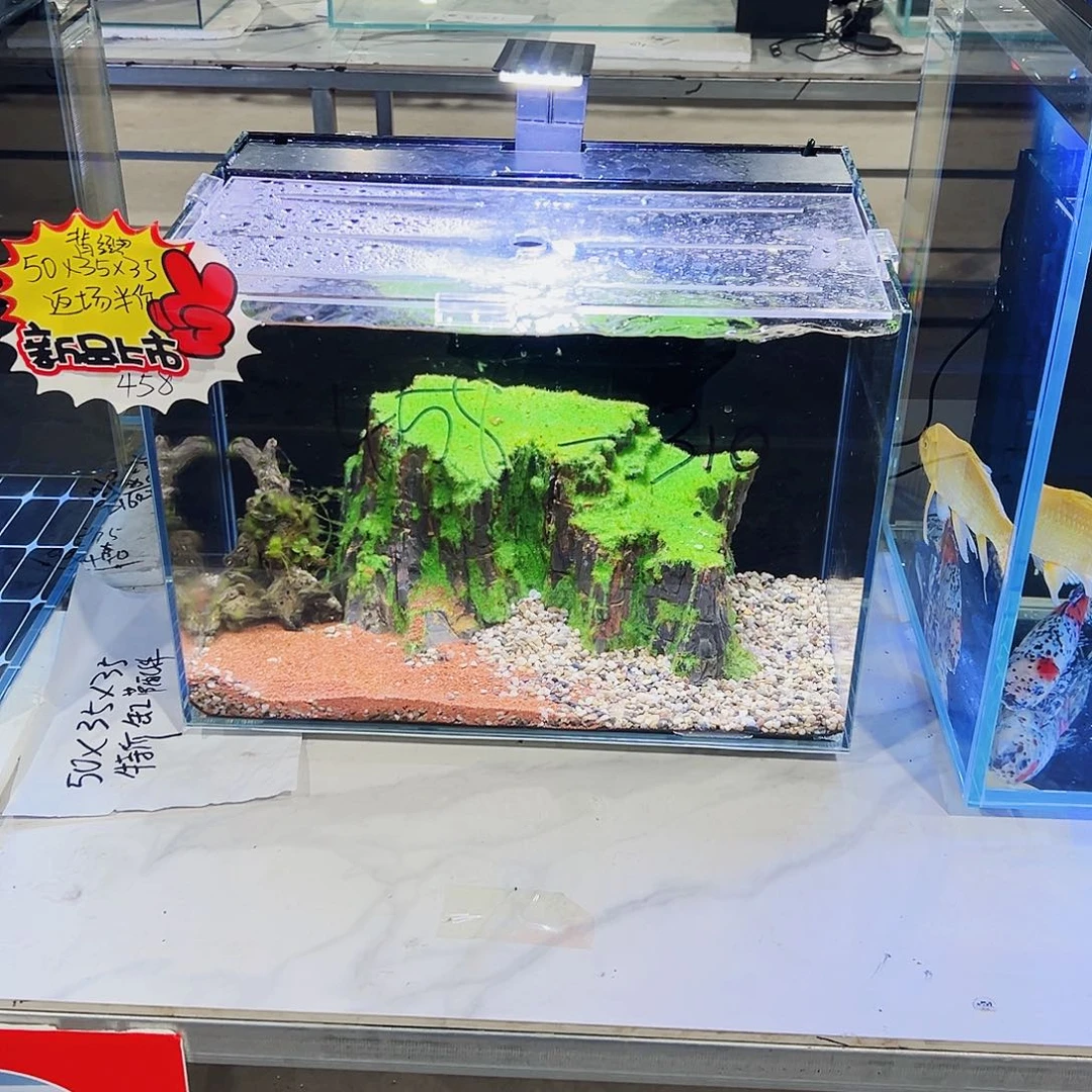 玻璃503535背全套