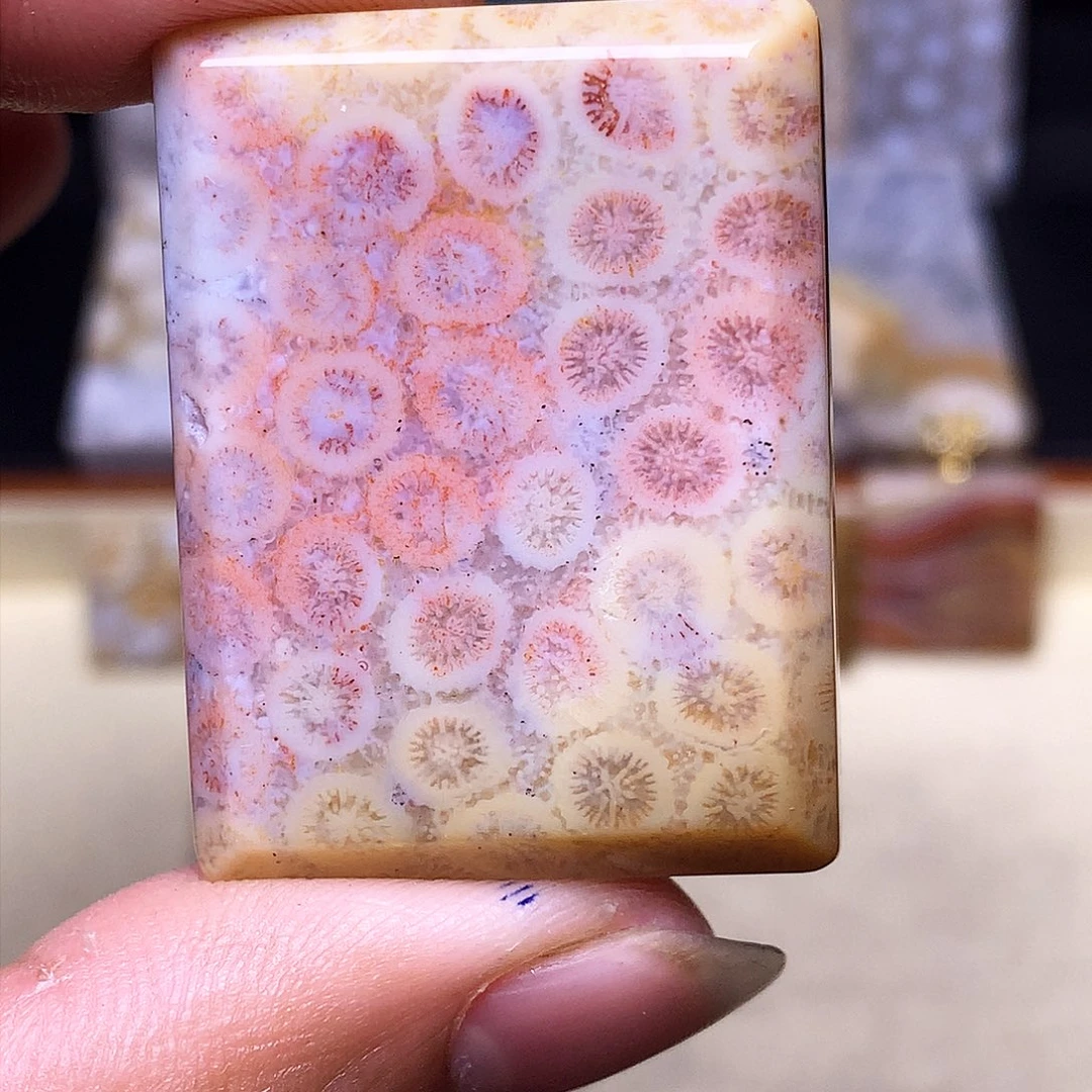 硅化玉珠宝奇石合金森**鹿