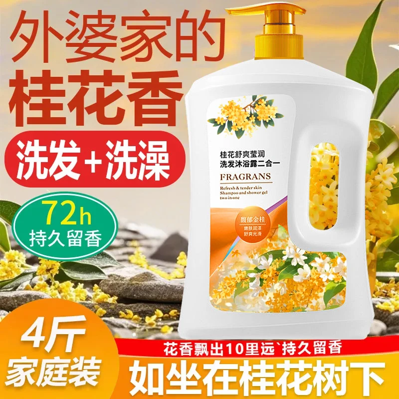 桂花香氛沐浴露洗发二合一洗发水沐浴露持久留香男女家庭装大容量