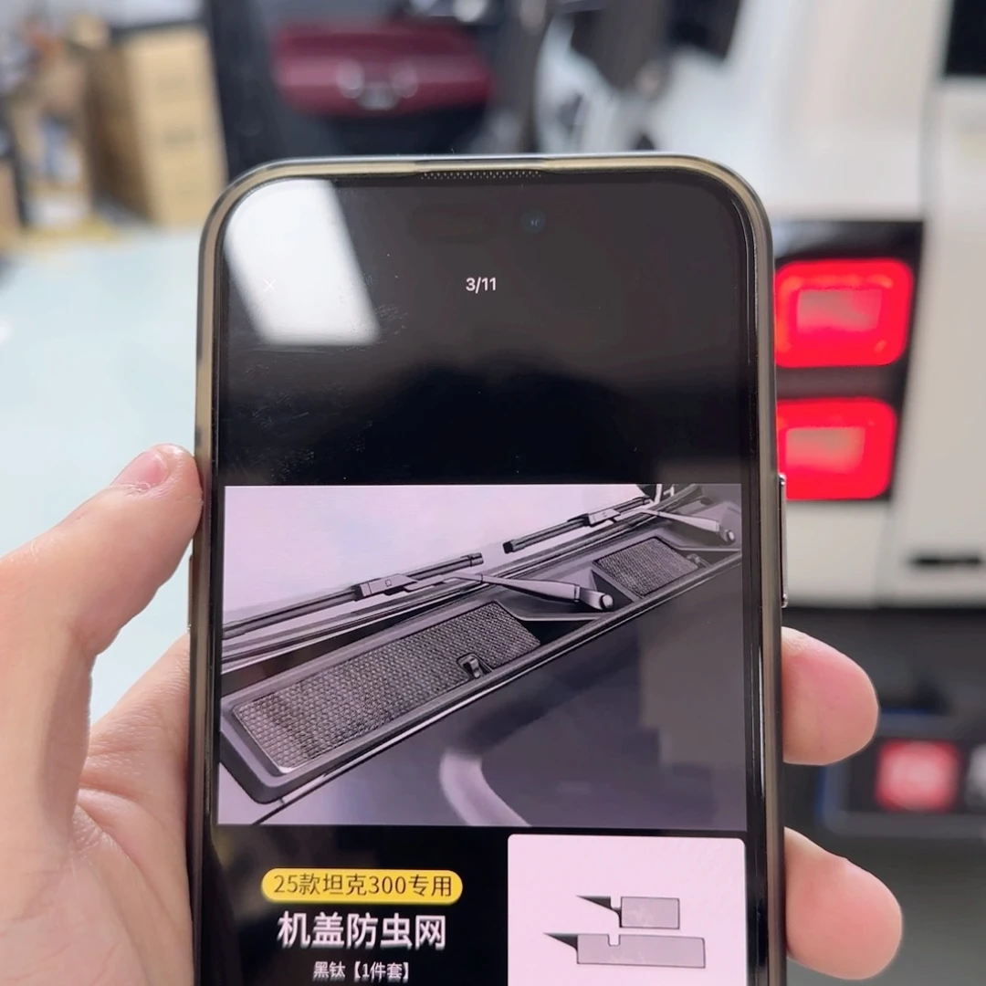 25款坦克300 机盖防虫网 黑钛