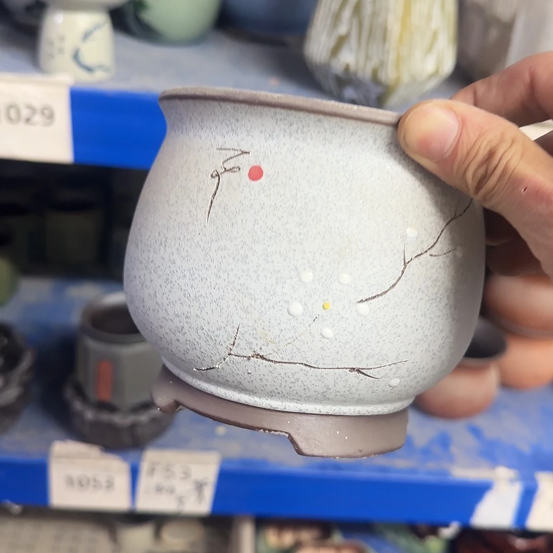 蓝****Y变形口不圆○○·1006