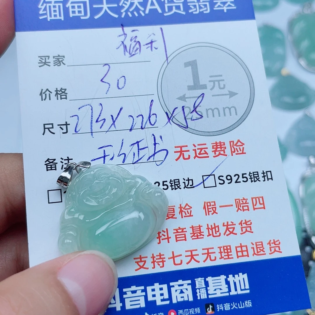 翡翠银S925镶嵌颈饰翡翠