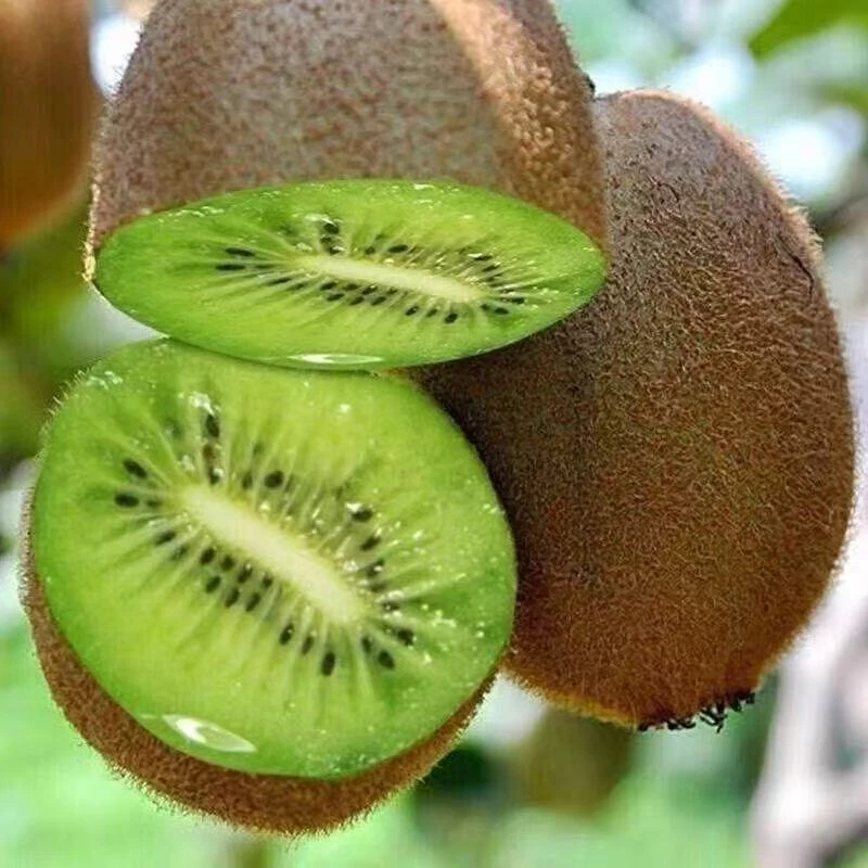 头茬绿心猕猴桃奇异果新鲜采摘酸甜可口孕妇水果