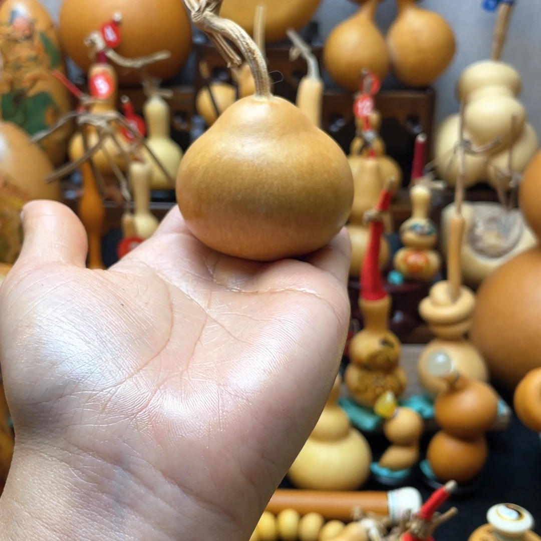 北*艾大自然的秘密第十一节你是谁