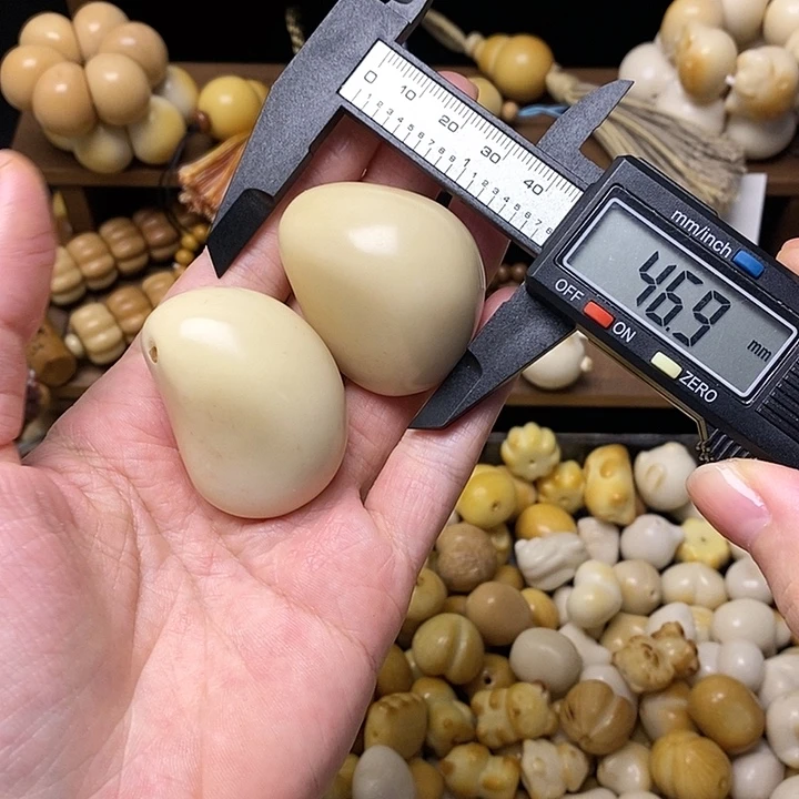 吊坠菩提根/象牙果