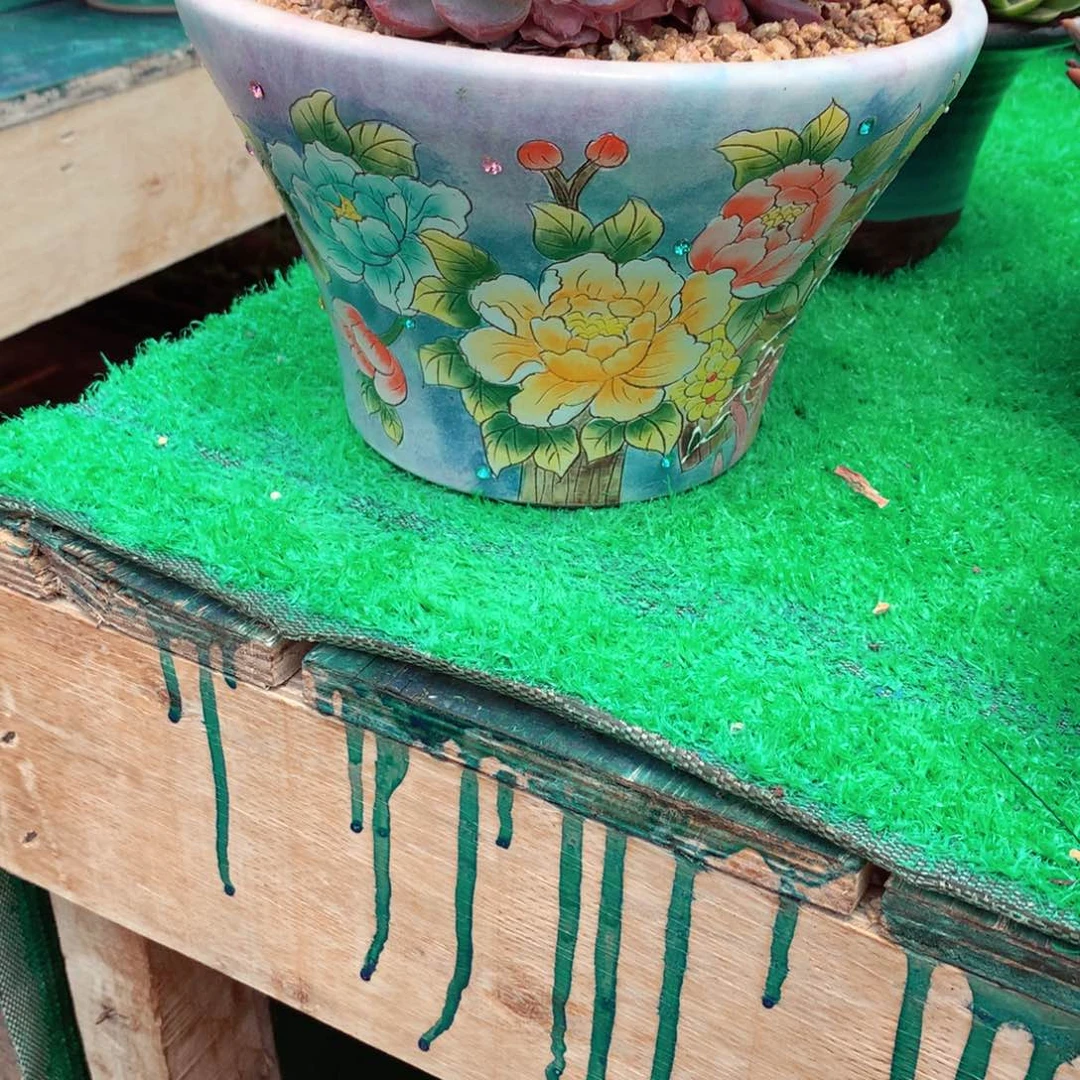 森***＊一物一拍一物一拍盆米