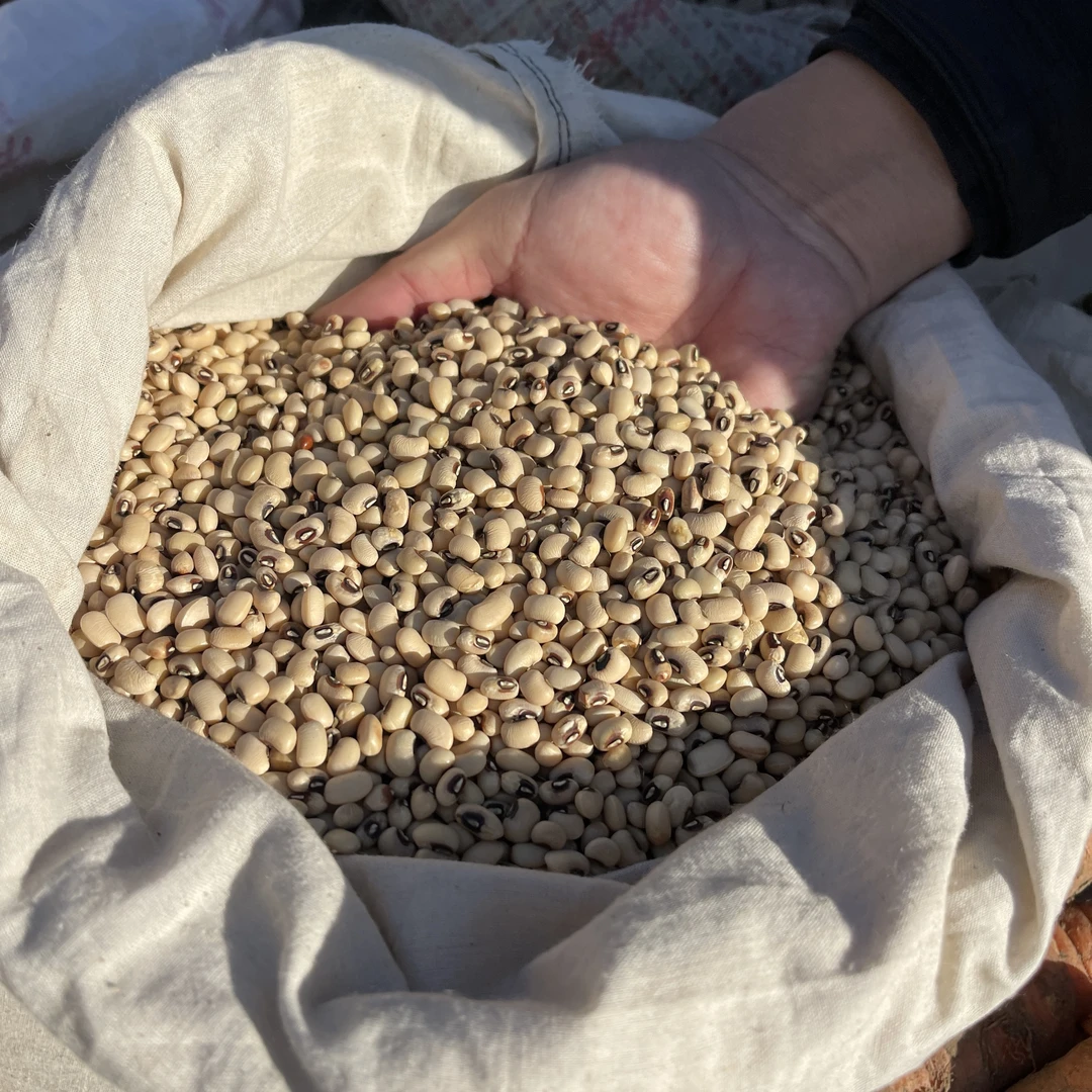 【张大庆】农产品爬豆