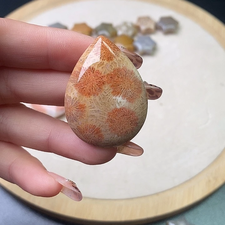 硅化珊瑚（珊瑚玉）未镶嵌颈饰