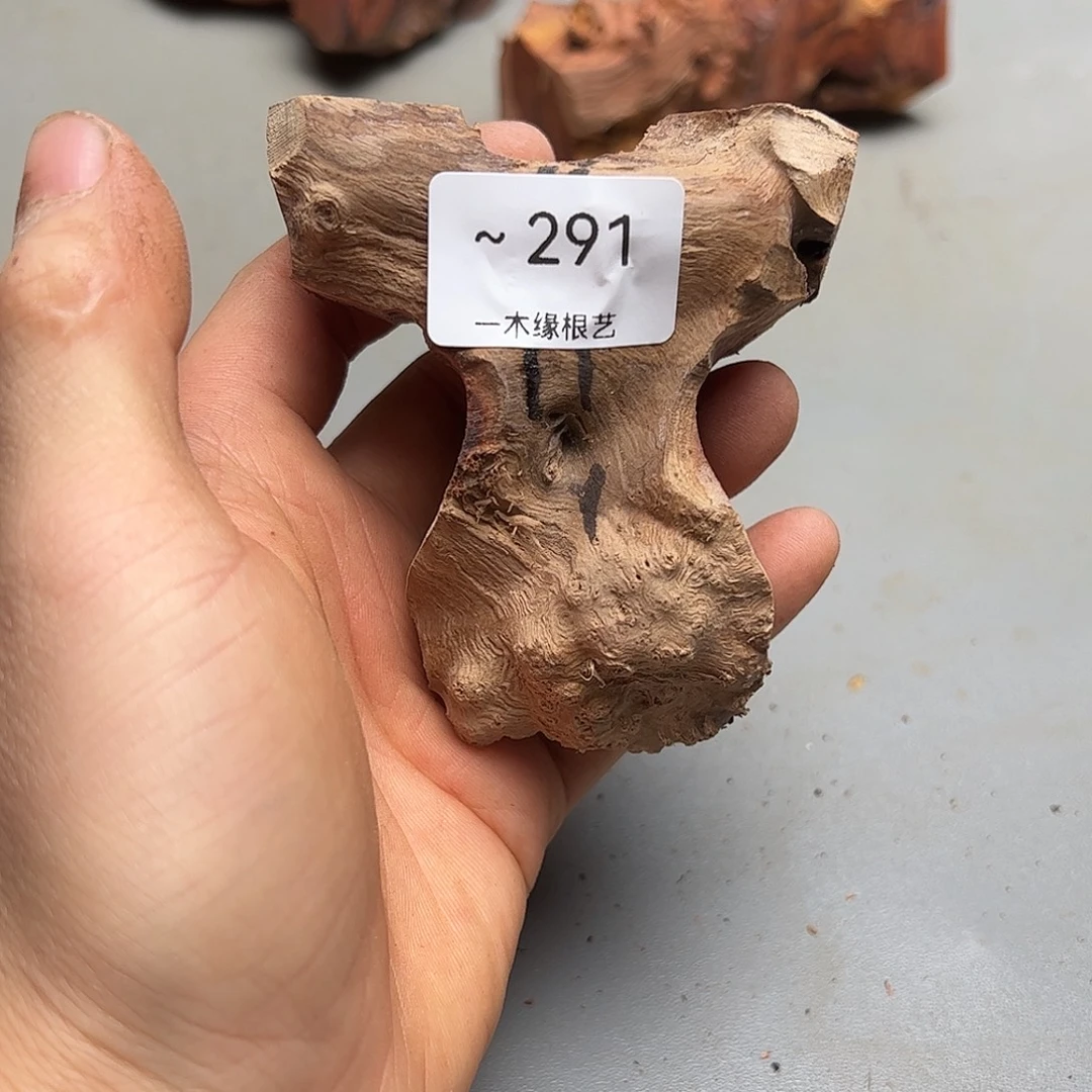 西***说无花朵         291