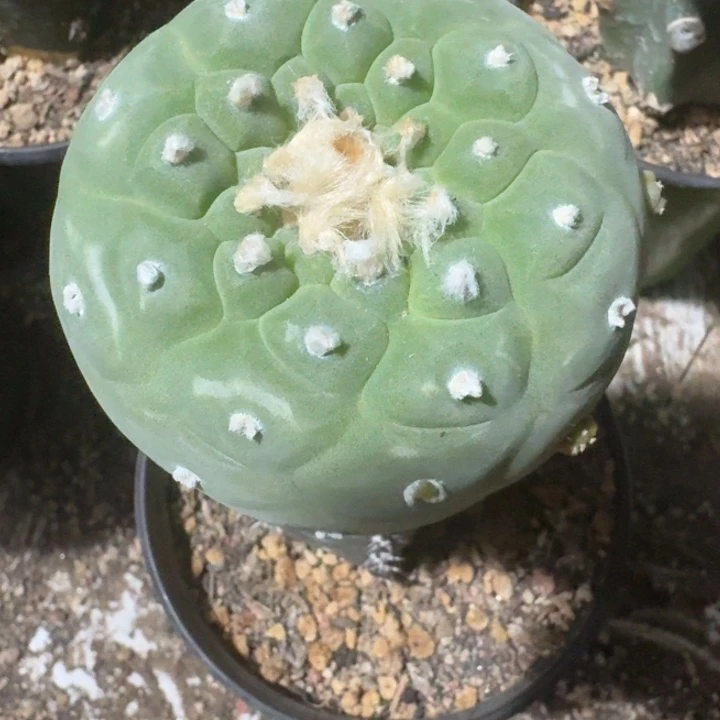 特价特价特价特价