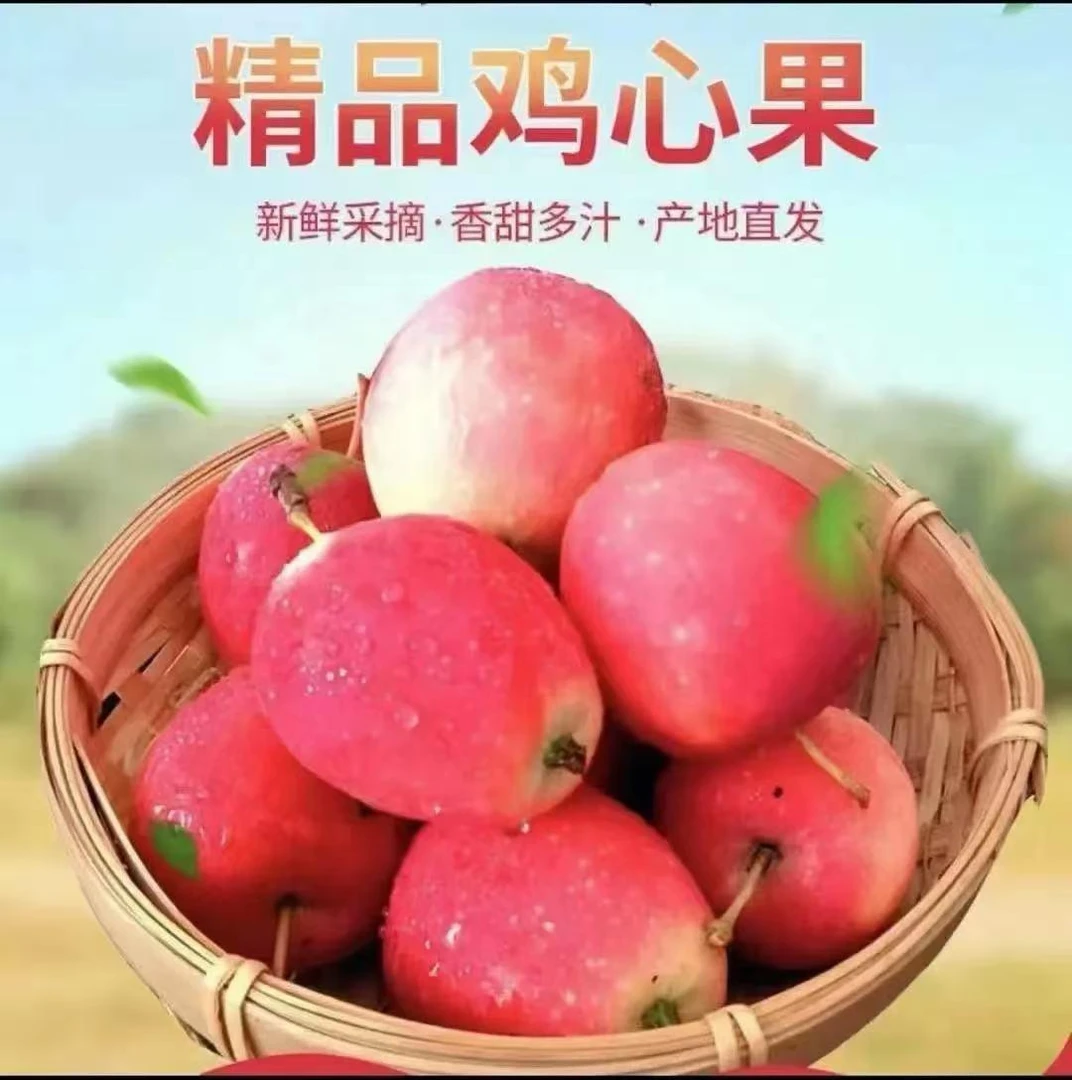 正宗东北特产鸡心果 脆甜可口 现摘现发 酸甜多汁