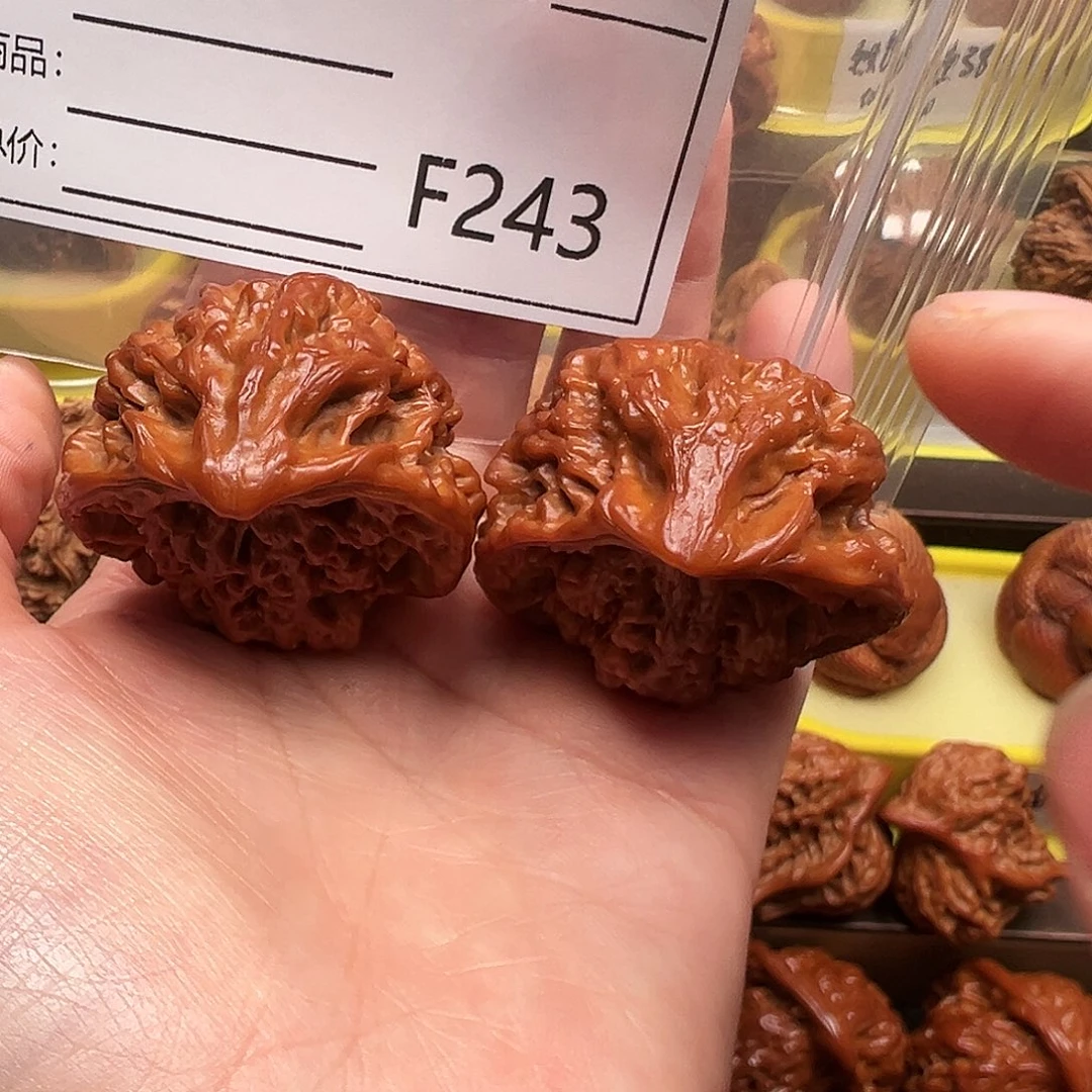 蛇王蛇王蛇王蛇王41