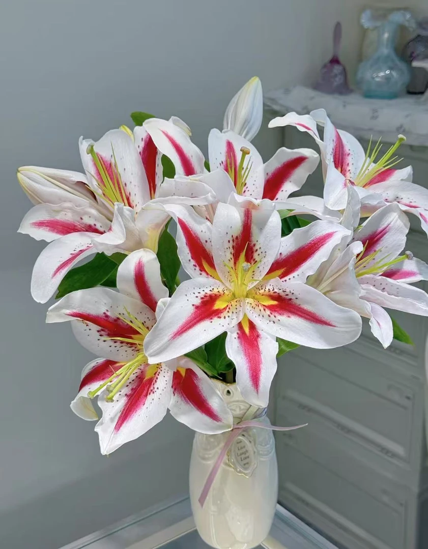 【笑脸AK】笑脸多头香水百合  | 全场任意满两单鲜花包邮