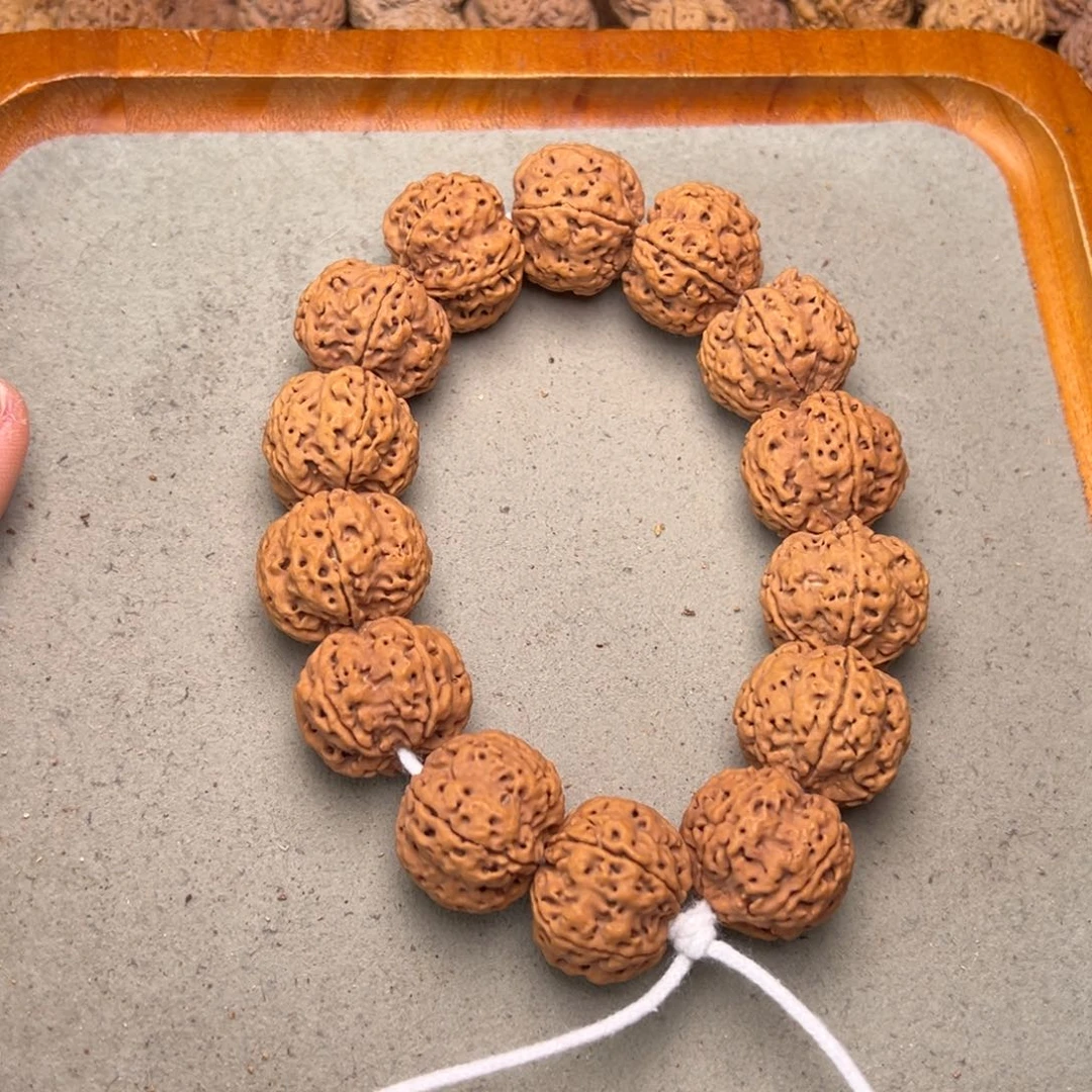 菩提1号金刚菩提梅花蜂窝24