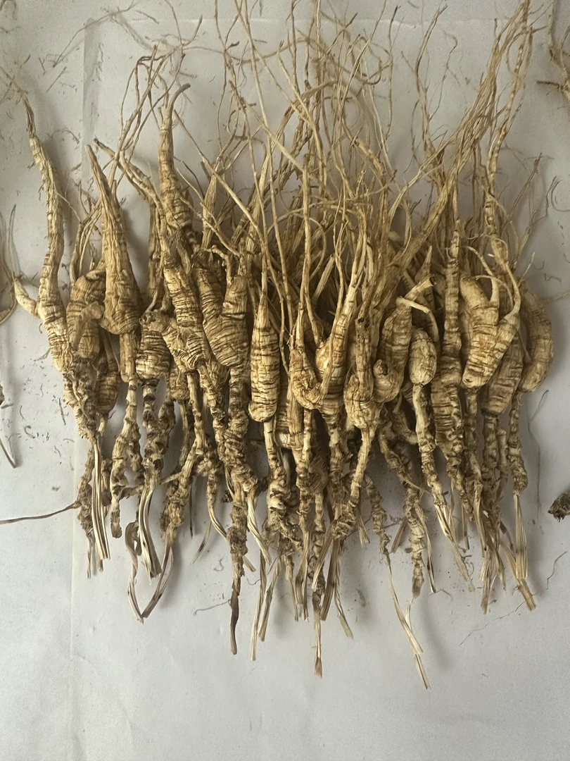 长白山林下参 直播间改价链接 代打粉