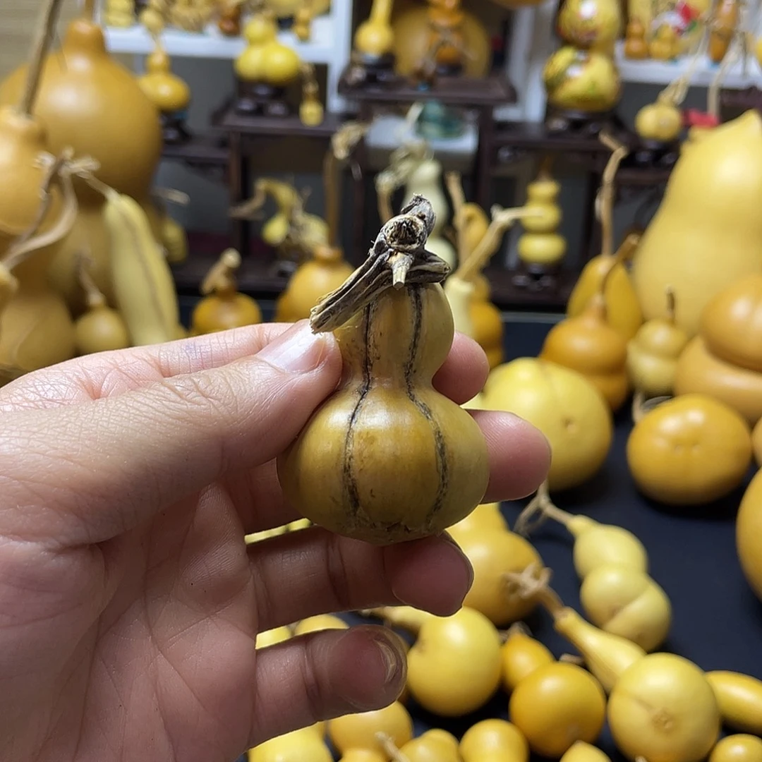 金***蝉大叶紫檀（黑酸枝木类）