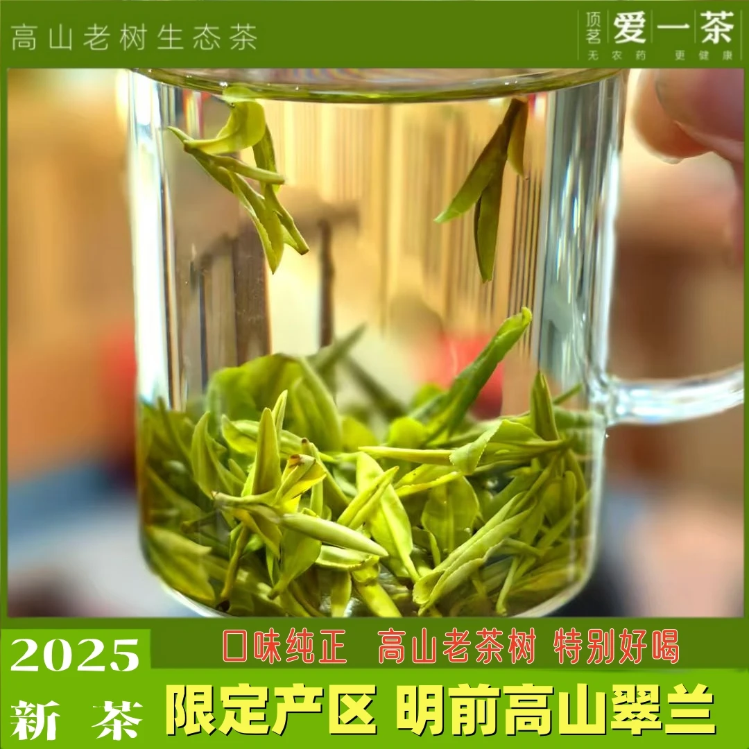 新茶顶茗爱一茶岳西翠兰高山绿茶明前老茶树茶叶核心产区庄园茶