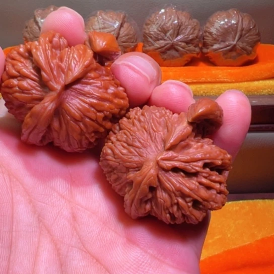 孤品龙角犀牛角茶壶角白狮子
