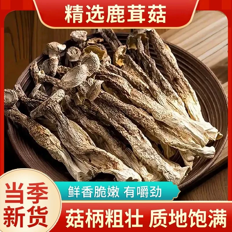 【4包促销价】高山鹿茸菇脆脆菇口感嘎嘣脆无硫新货