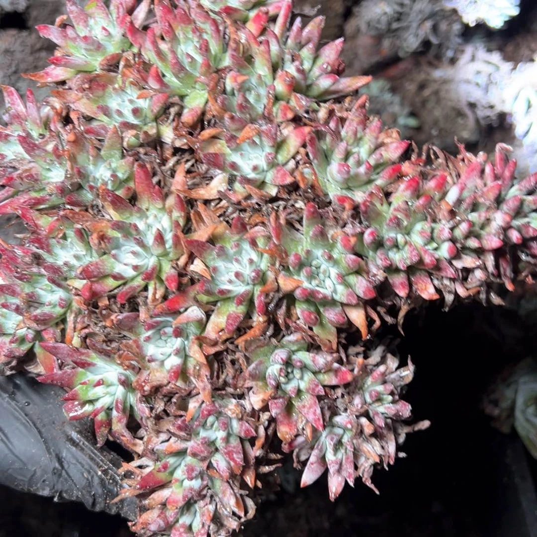 5995哈哈哈哈哈哈哈哈