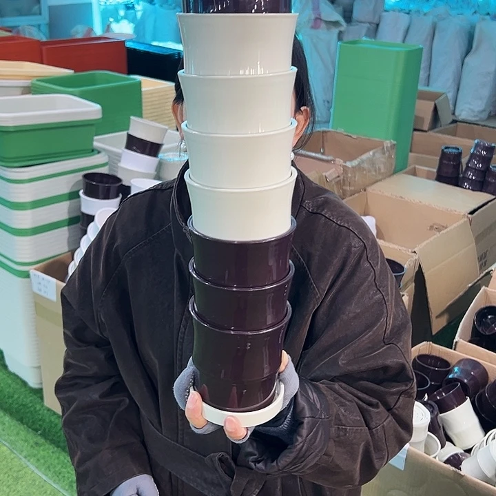 特价竹节口10高10米色带托10只