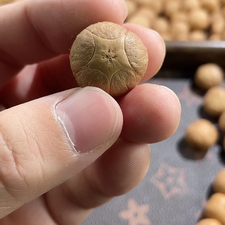 手串凤眼菩提尼泊尔小凤眼
