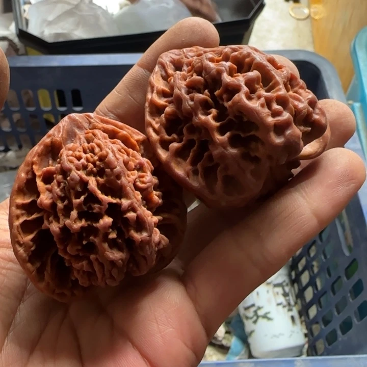 Z***Q偏远地区不包邮的