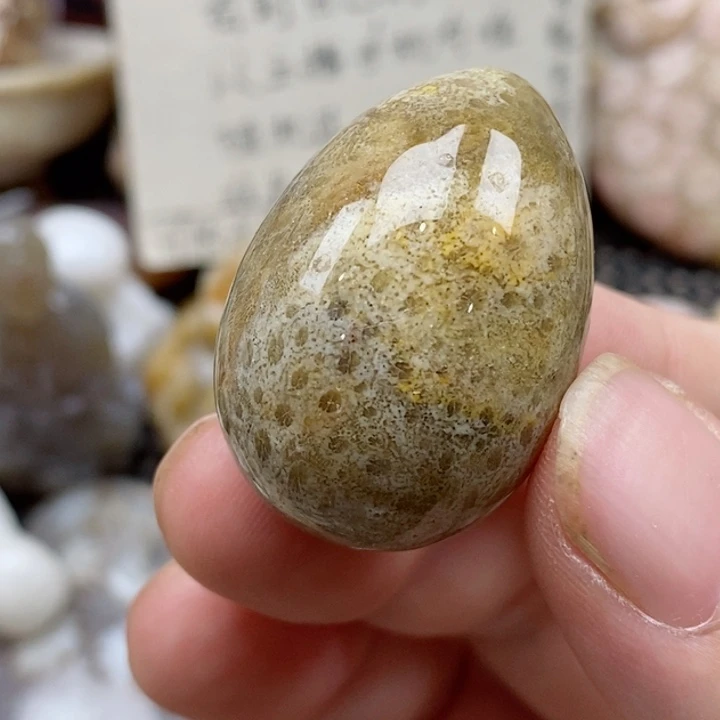 硅化珊瑚（珊瑚玉）未镶嵌颈饰