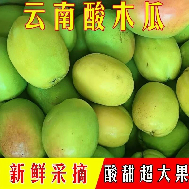 云南特产 大理野生 老品种酸木瓜 生吃凉拌 可做木瓜鸡熬汤包邮