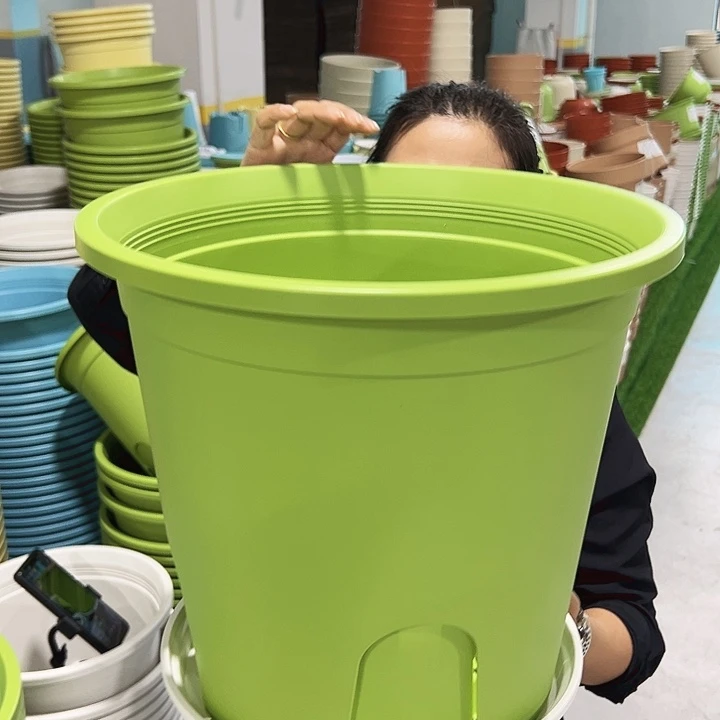 正品圆控口38高34果绿带托5只