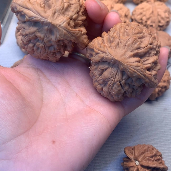把件文玩核桃全品龙鼎54