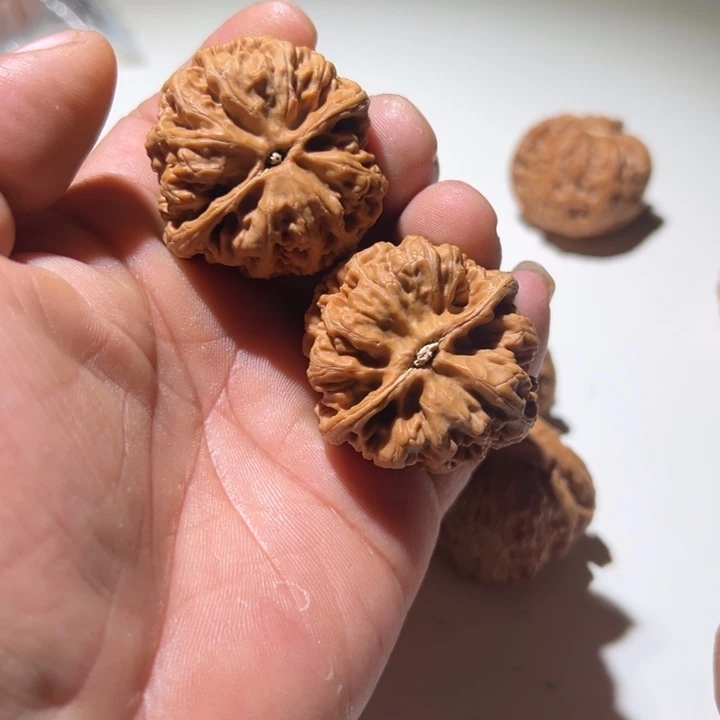 。***张文玩核桃把件大粗筋