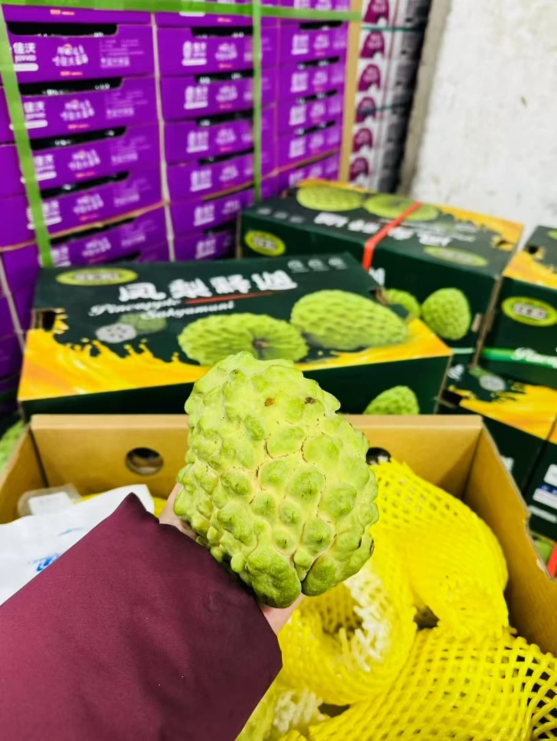 释果园凤梨释迦8个装