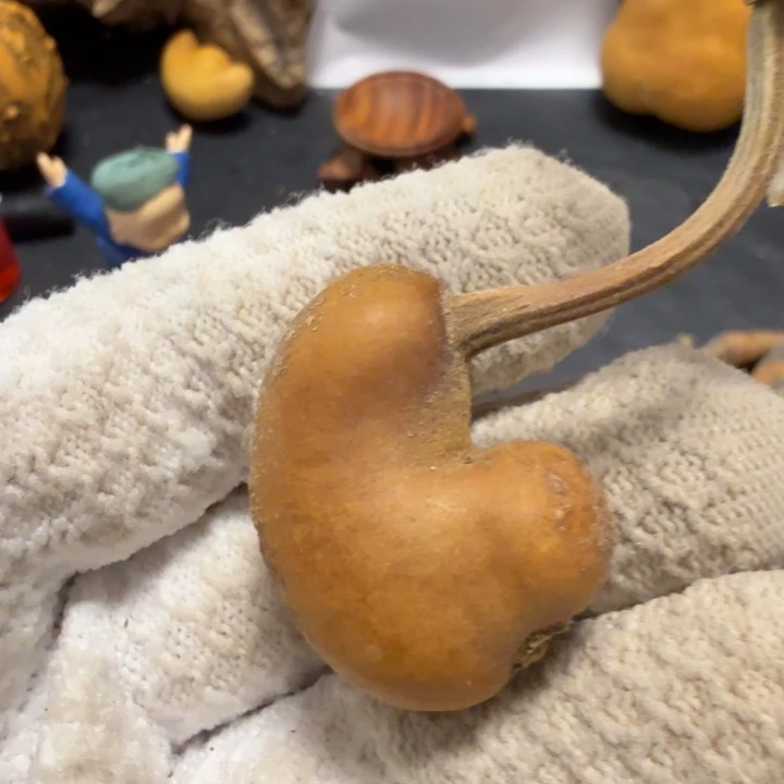 坤***66666666667777778888