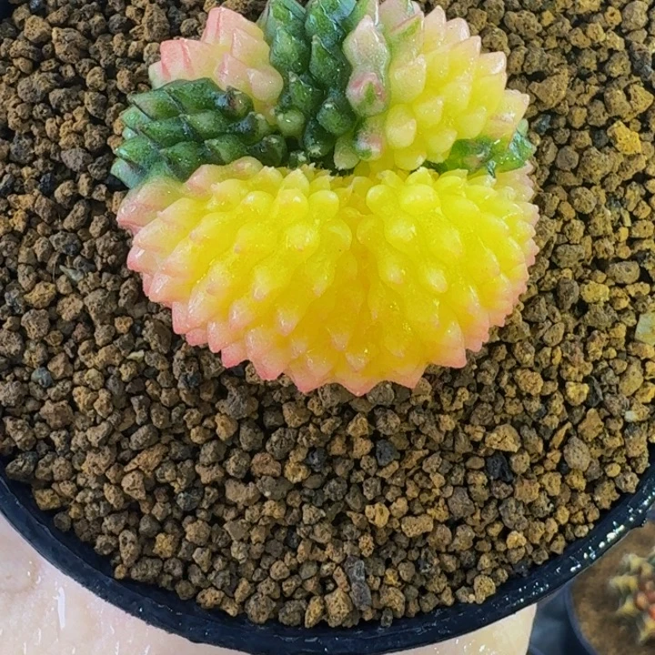 貘锦缀0000000000106