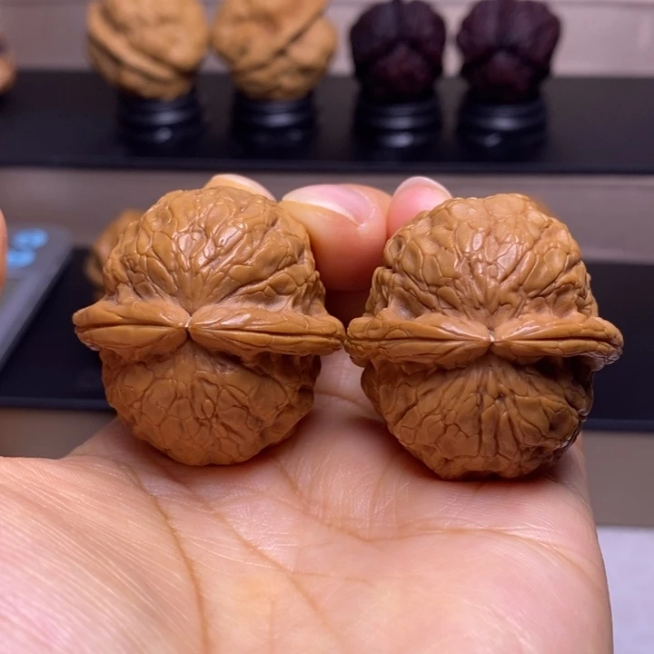 文玩核桃把件金龟玉甲64