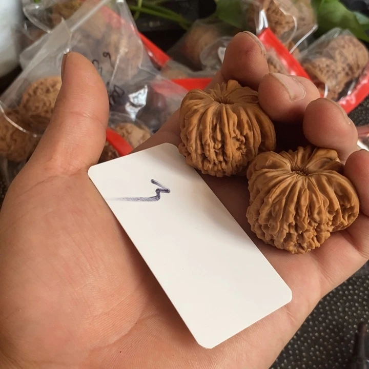 龙脊菩提吊坠四座楼四座楼狮子头